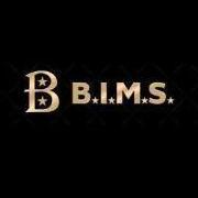 BIMSInc